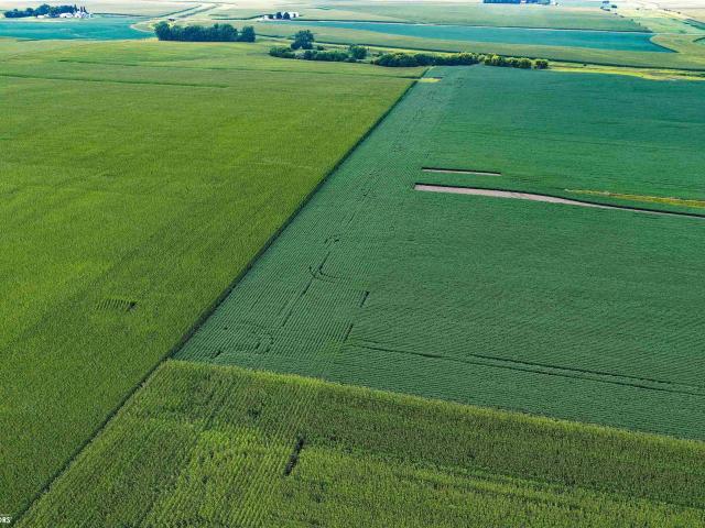Land for sale in Pocahontas, Iowa
