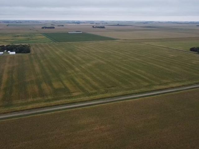 Farm for sale in Danube, Renville County