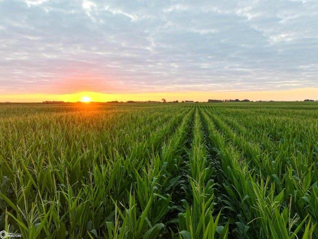 Farm for sale in Ringgold, Iowa