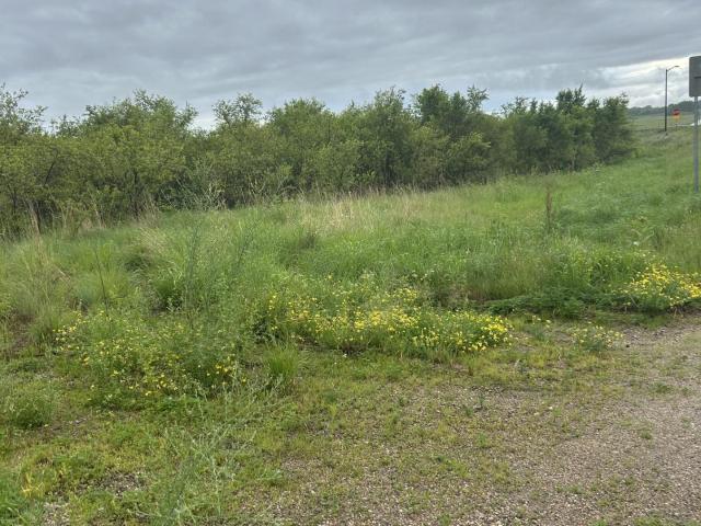 Land for sale in Minnesota