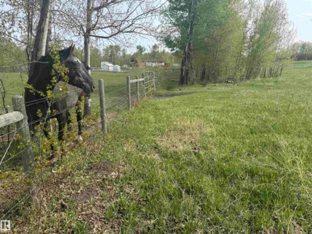 Land for sale in Alberta