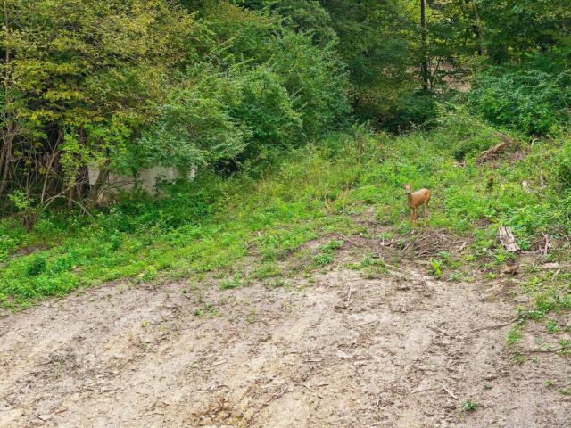 Land for sale in Story, Iowa