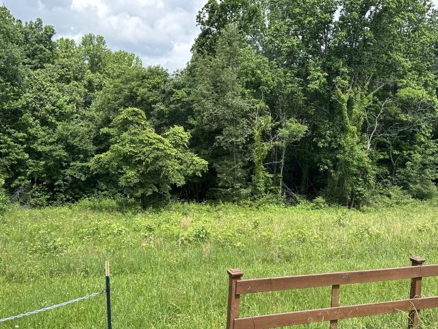 Land for sale in Tennessee
