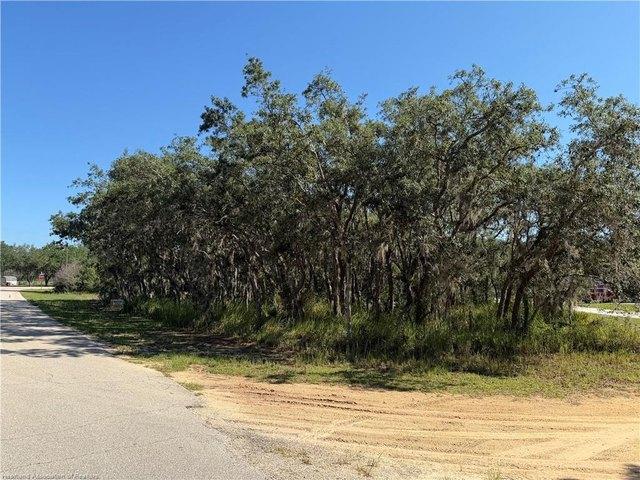 Land for sale in Avon Park, Florida