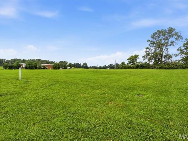 Land for sale in New Athens, Illinois