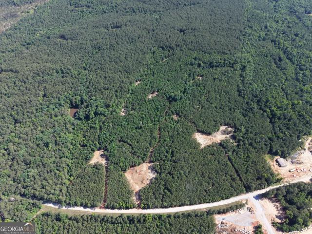 Land for sale in Elbert, Georgia