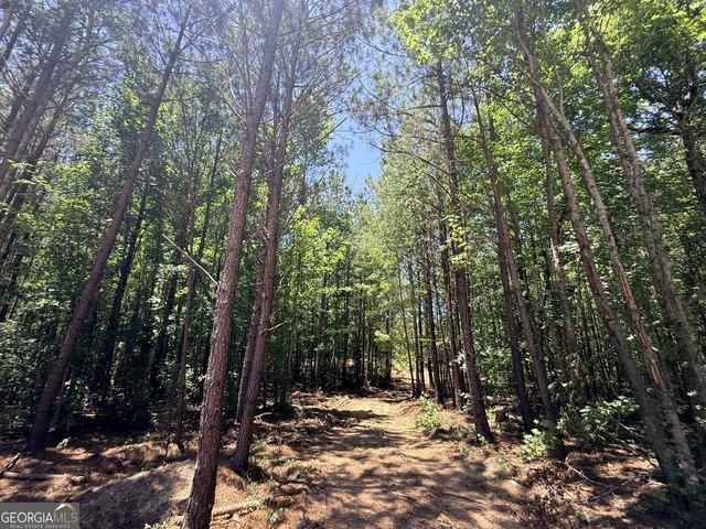 Land for sale in Elbert, Georgia