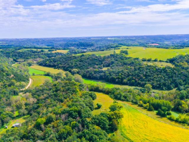 Land for sale in Pilot Mound Township, Fillmore County