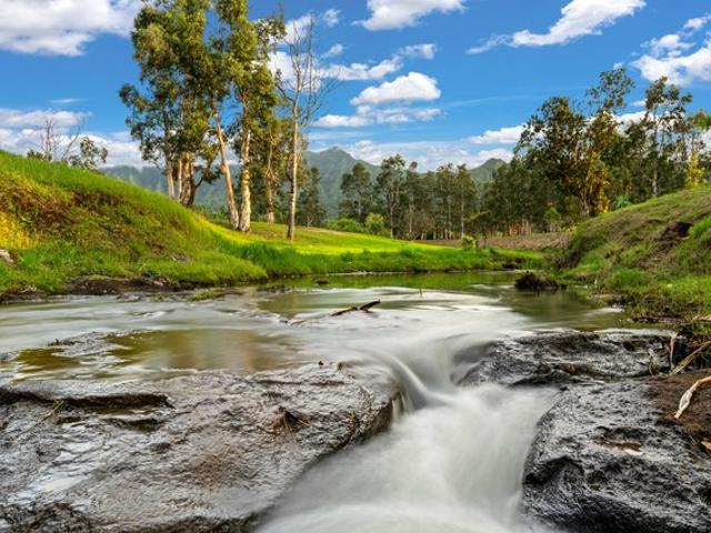 Land for sale in Kilauea, Hawaii