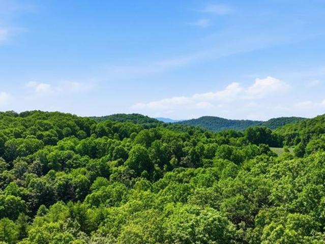 Land for sale in North Carolina