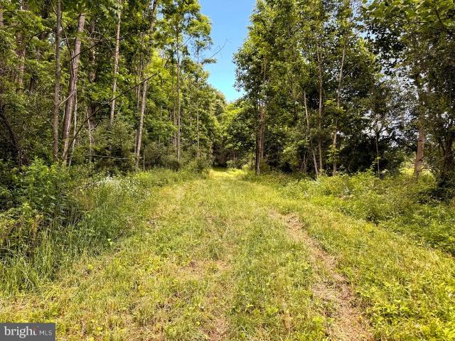 Land for sale in Julian, Pennsylvania