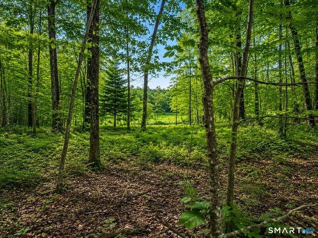 Land for sale in Glastonbury, Capitol Planning Region