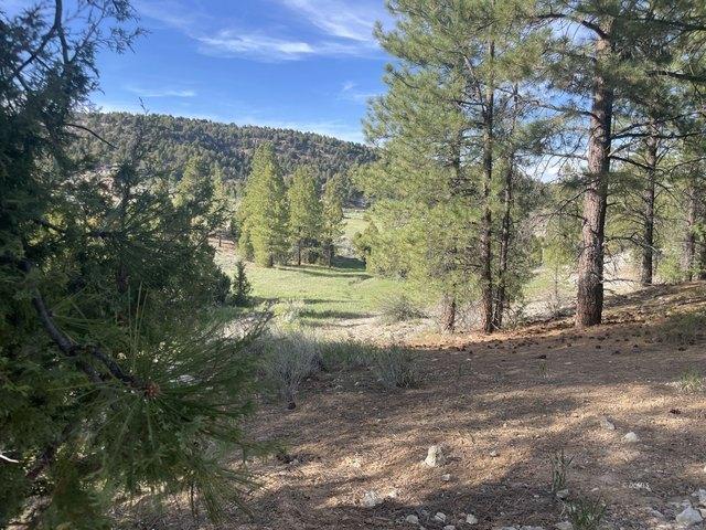 Land for sale in Alton, Utah