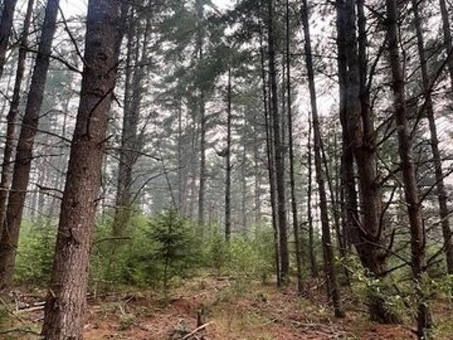 Land for sale in Luzerne, Michigan