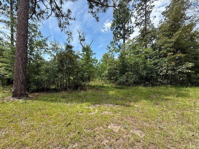 Land for sale in Donalsonville, Georgia