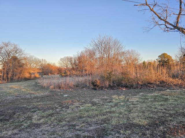 Land for sale in Hickory, Missouri