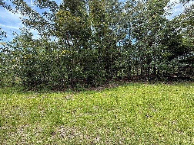 Land for sale in Donalsonville, Georgia