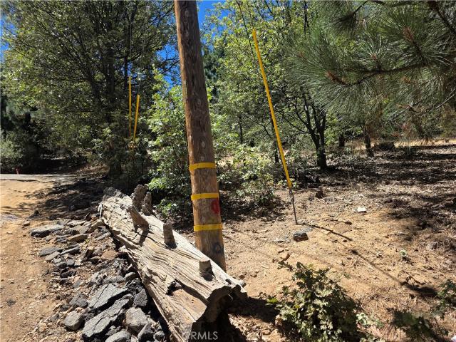 Land for sale in Cedar Glen, California