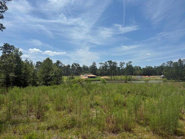 Land for sale in Donalsonville, Georgia