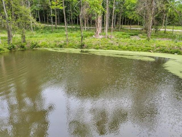 Land for sale in Tennessee