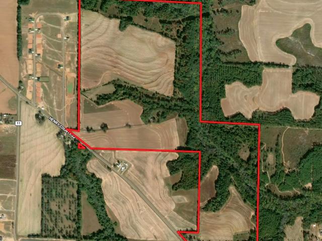 Land for sale in Headland, Henry County
