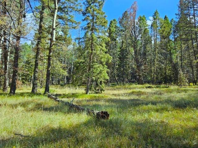 Property for sale in Gunnison, Colorado