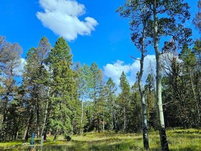 Land for sale in Montrose, Colorado