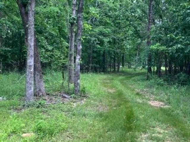 Land for sale in Fredericktown, Missouri