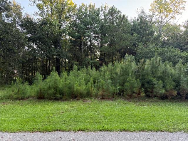 Land for sale in Lacombe, St. Tammany Parish
