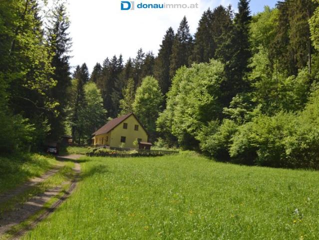 Haus kaufen in Warth, Vorarlberg