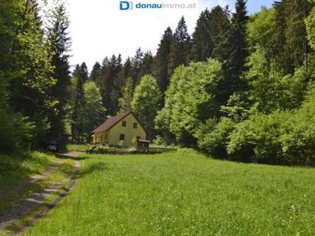 Haus kaufen in Warth, Vorarlberg