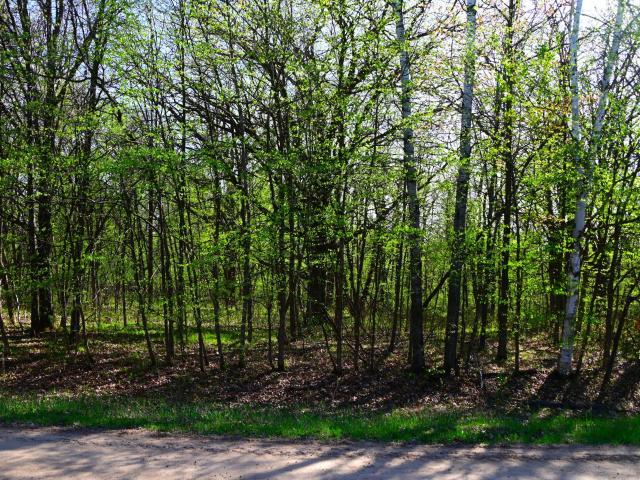 Land for sale in Todd, Minnesota