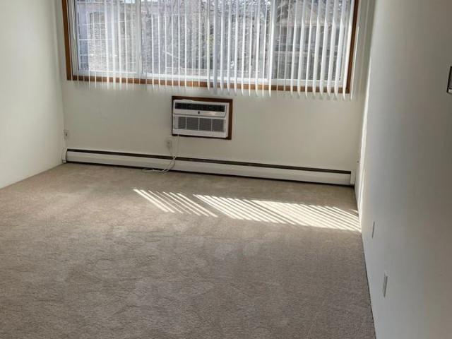 Apartment for rent in Calhoun Isles, Minneapolis