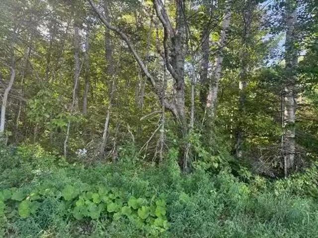 House for sale in Glenwood, Prince County
