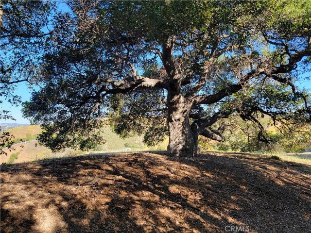 Land for sale in Agoura Hills Land for sale in Agoura Hills