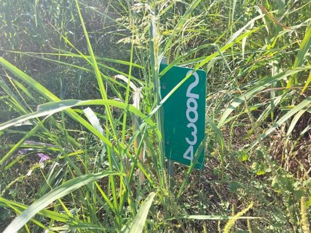 Land for sale in Itasca, Texas