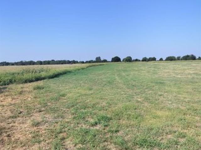Land for sale in Itasca, Texas