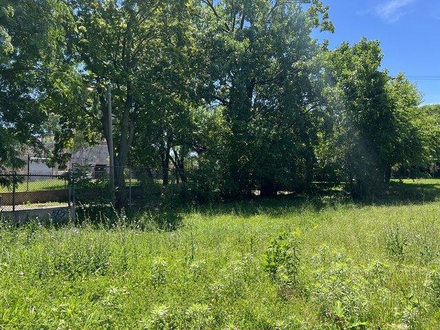 Land for sale in Chicago Park, Illinois