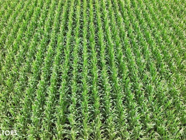 Farm for sale in Beaman, Iowa