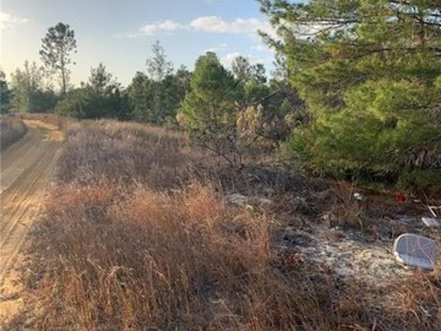 Land for sale in Avon Park, Florida