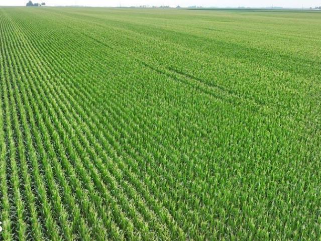 Farm for sale in Conrad, Iowa