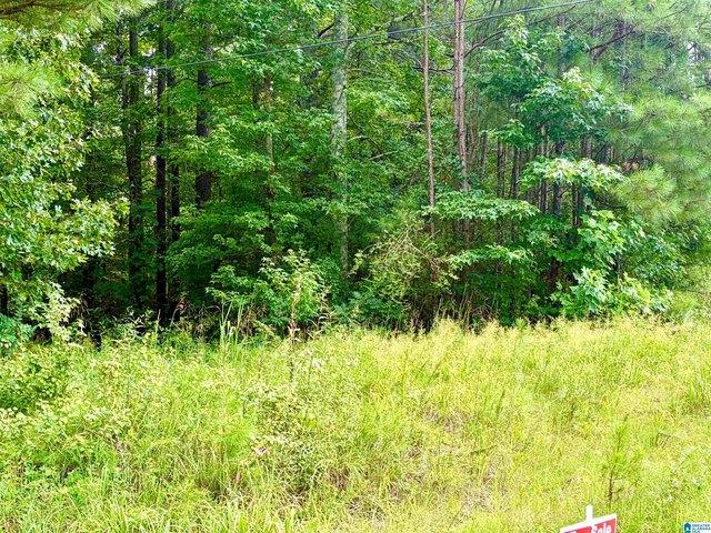 Land for sale in Trafford, Alabama
