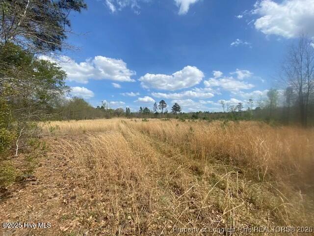Land for sale in Scotland, North Carolina