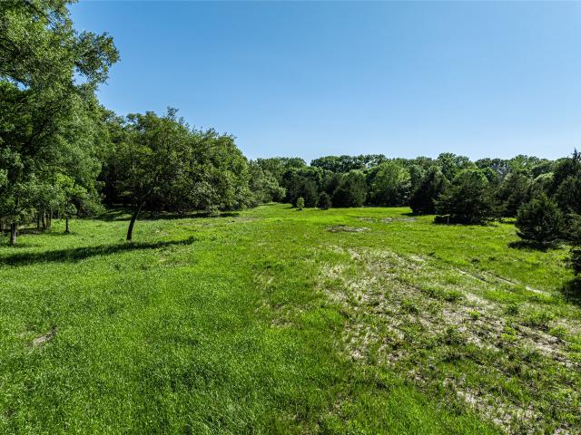 Land for sale in Carmine, Texas