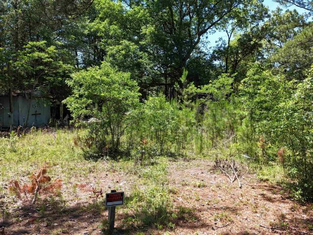 Land for sale in Lugoff, South Carolina