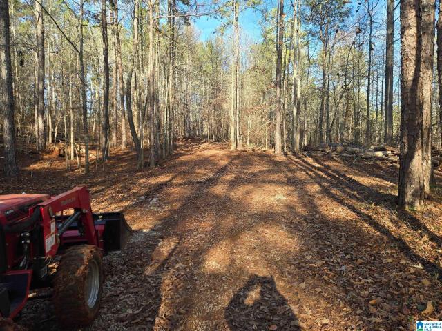 House for sale in Alabama