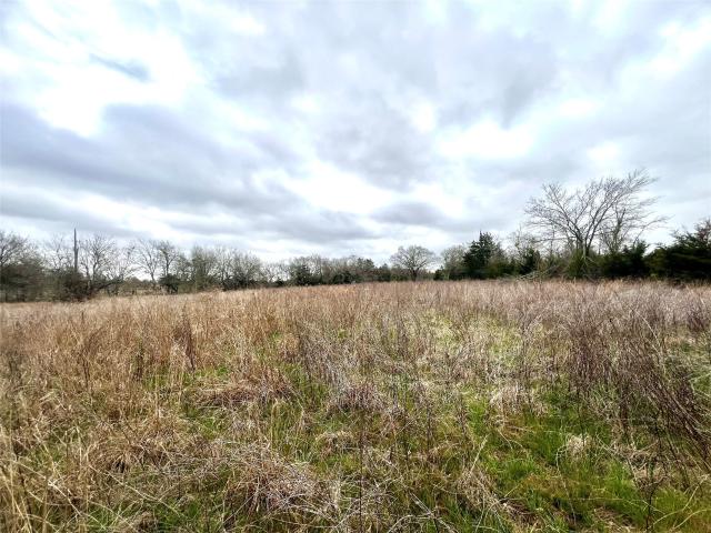 Land for sale in Kosse, Texas