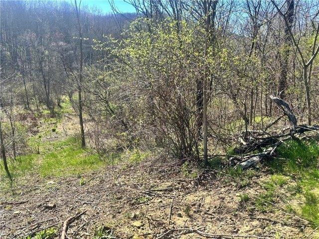 Land for sale in Beaver, Pennsylvania