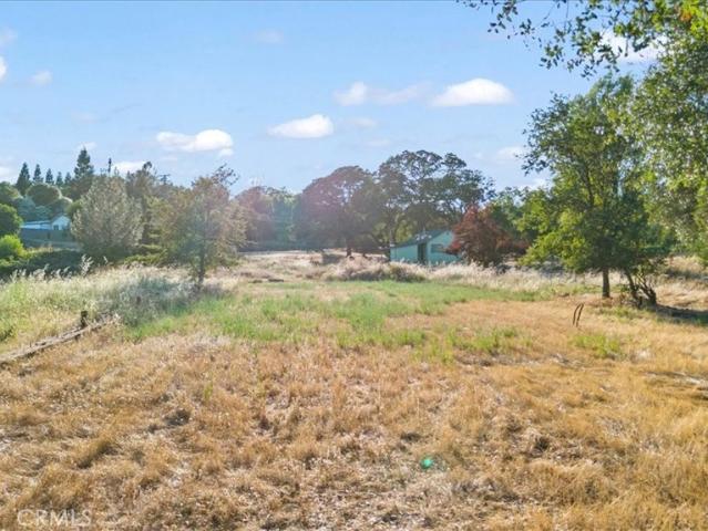 House for sale in Butte, California