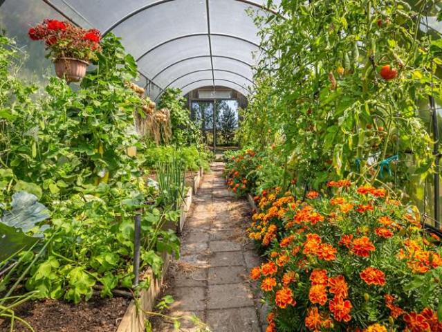 Property for sale in Horowhenua District